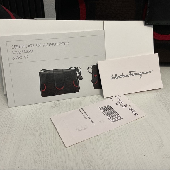 Salvatore Ferragamo  bags - Picture 15 of 16